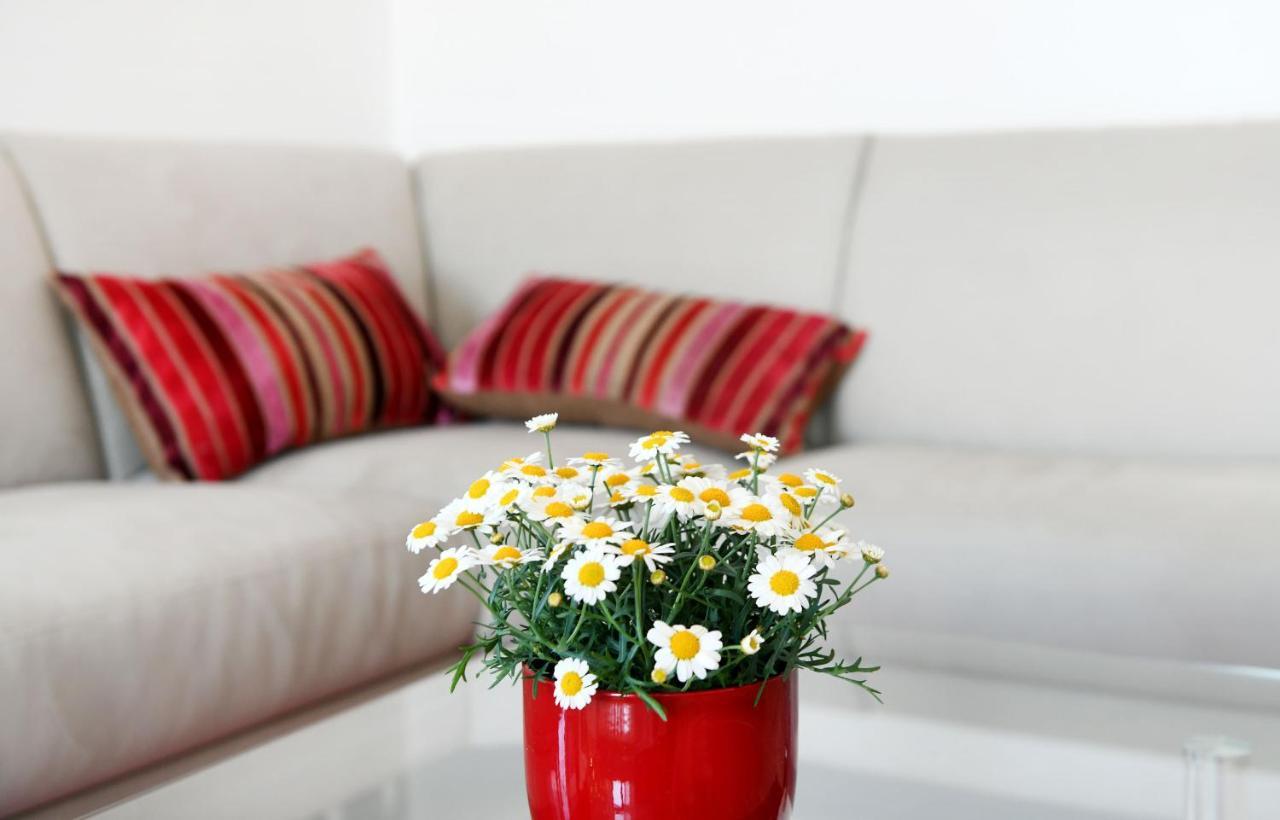 Divia Apartment 리예카 외부 사진